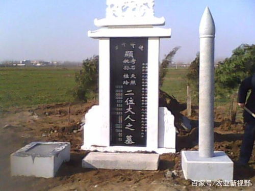 第一章：梦中情人与十二生肖的隐秘纠缠
