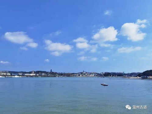 #2 红树林探险+水上乐园疯狂打卡#