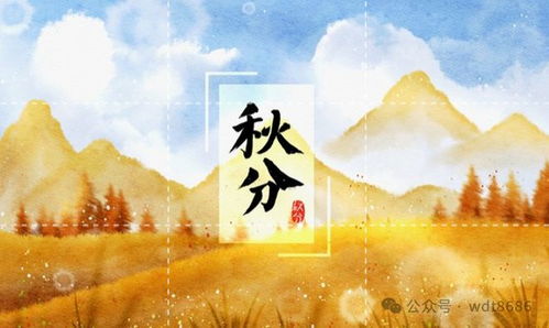 往昔岁月