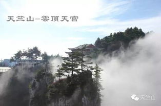 #1 天竺山森林公园（所谓的后花园）