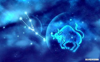 第三组：狮子座 vs 狮子座 - 自恋狂的巅峰对决