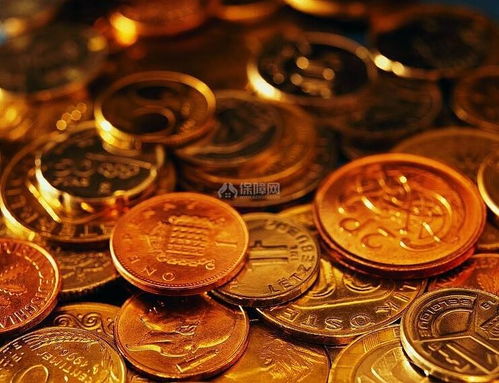 震惊！往鱼缸扔硬币竟能暴富？2026年最新玄学大揭秘