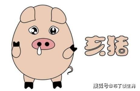 属猪人2026年每月运势具体表现是怎样的？