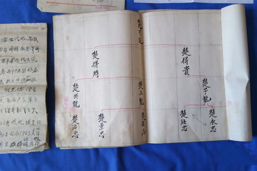 周姓2026年宝宝取名，有哪些热门字可以改写为？