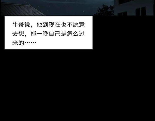 房间里的异动：谁在挠门？