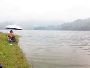 惯与浦东国际机场围场河的一些疑问