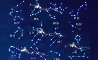 为哪些这一些星座表现得更偏激？