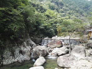 夏日东天目避暑，现在正是好时机吗？