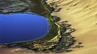 南极小贴士——如何与企鹅握手