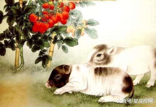 2026年属猪人如何查询偏财手机号，最旺财钱包是哪个？