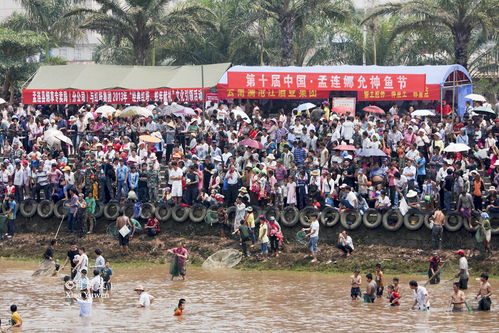 南通民俗盛宴：传统节日风情一览无遗