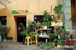 1. 如何识别骗子供应商？我的秘密武器