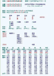 五、八字配对——如何让你的命理跟这一天完美匹配？