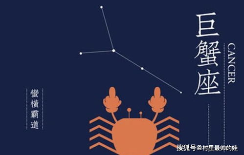 2026年属猴狮子座八月运势和属猴摩羯座全年运势分别如何？