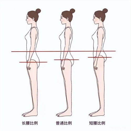 体型与性格：你瞅瞅这几种“花样”