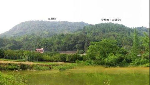 惯与峦头与理气的争论