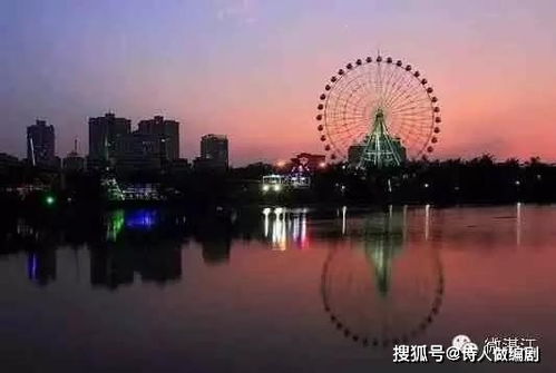 三、摩天轮——较高空俯瞰半个霞山区还是看见一只较大鸟？