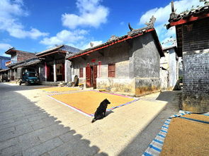 壮族建筑风情探秘：揭秘壮族独特风俗与建筑美学