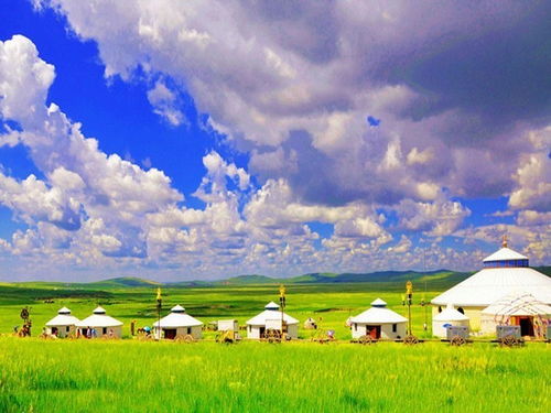 震惊！甘南草原根本不是你想的那样