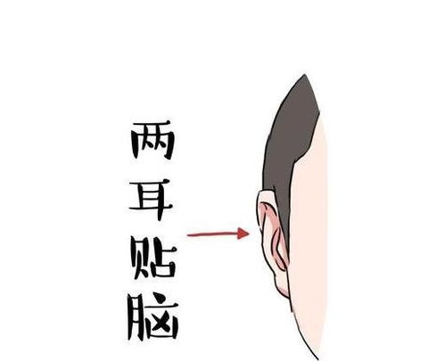 震惊！2026年耳朵消失的人都要暴富？看完我连夜去整容
