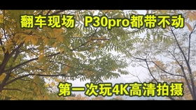 初识凤鸣山