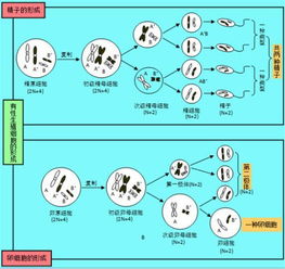 学霸星座大揭秘