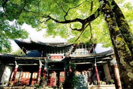 所以啊，“免费”禅修寺庙？得睁较大眼睛瞧瞧