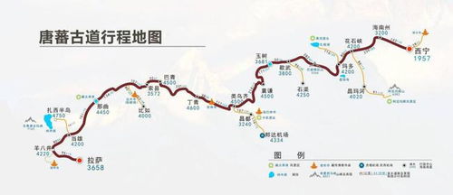 看什么？看命啊！