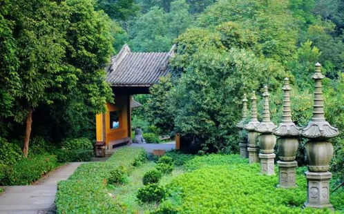 一、 先别说“预约”，先说“怎么不买票直接进门”