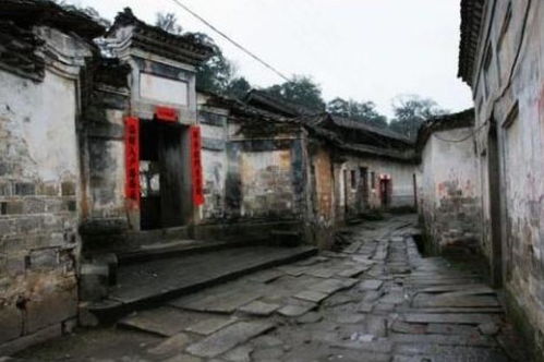 我的“探秘”之旅：惊喜与失望并存