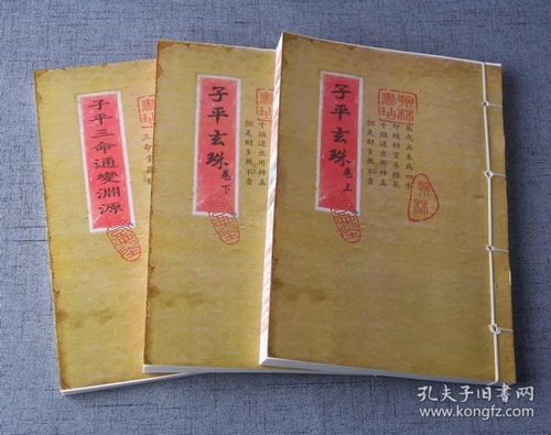 以日元为主的命理体系