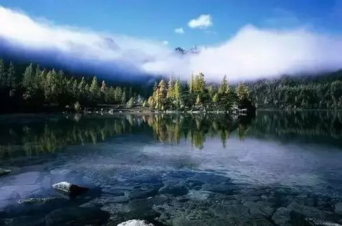 四川导游晓晓？就是个骗子！