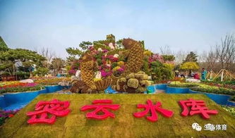 体验新绿意， 探索未知世界