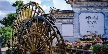 哎呀妈呀，这50块钱到底该咋算？丽江古城维护费的那些破事儿