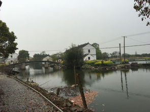 二、 歪打正着的狗屎运