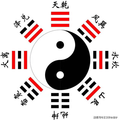 男性命理中，带有桃花星意味着什么？