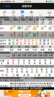 官杀大乱炖：命越算越慌的玄学车祸现场