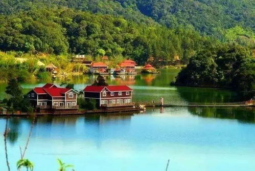 广东广宁风水,广东广宁风水