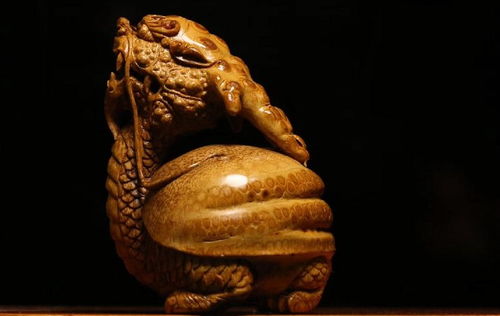 金蟾：会吐钱的癞蛤蟆