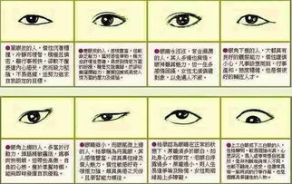 眉毛像杂草丛生？快跑！