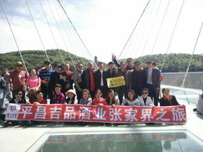 专业团队：让你的旅行无忧（除非遇到外星人）