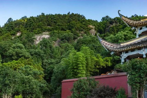 沿途风景：睡过去是你的福气