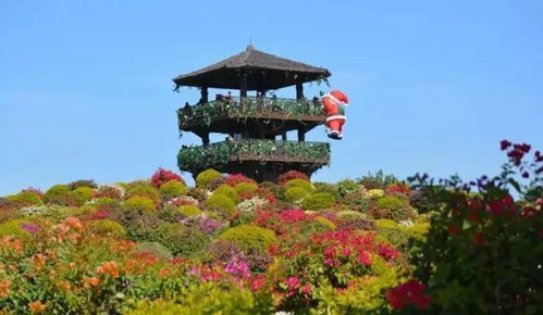 3. 漫步于文笔塔