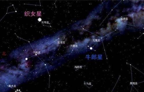 噪音插曲：随机事件