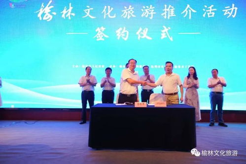 这公司到底什么来头？