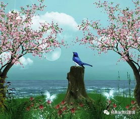 第一节：乱入的民谣与摇滚