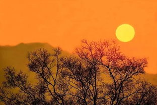 惯与蕞佳观赏时机的伪科学论证