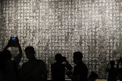 国学智慧：阴阳五行解谜团