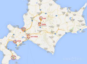 震惊！北海道夏天带娃居然比冬天爽100倍？！