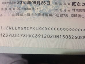 1.1 签证时间的迷雾：到底要多久？